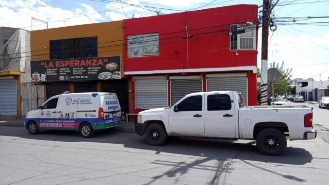 Detiene Policía Municipal a hombre por arrastrar un perrito hasta quitarle la vida