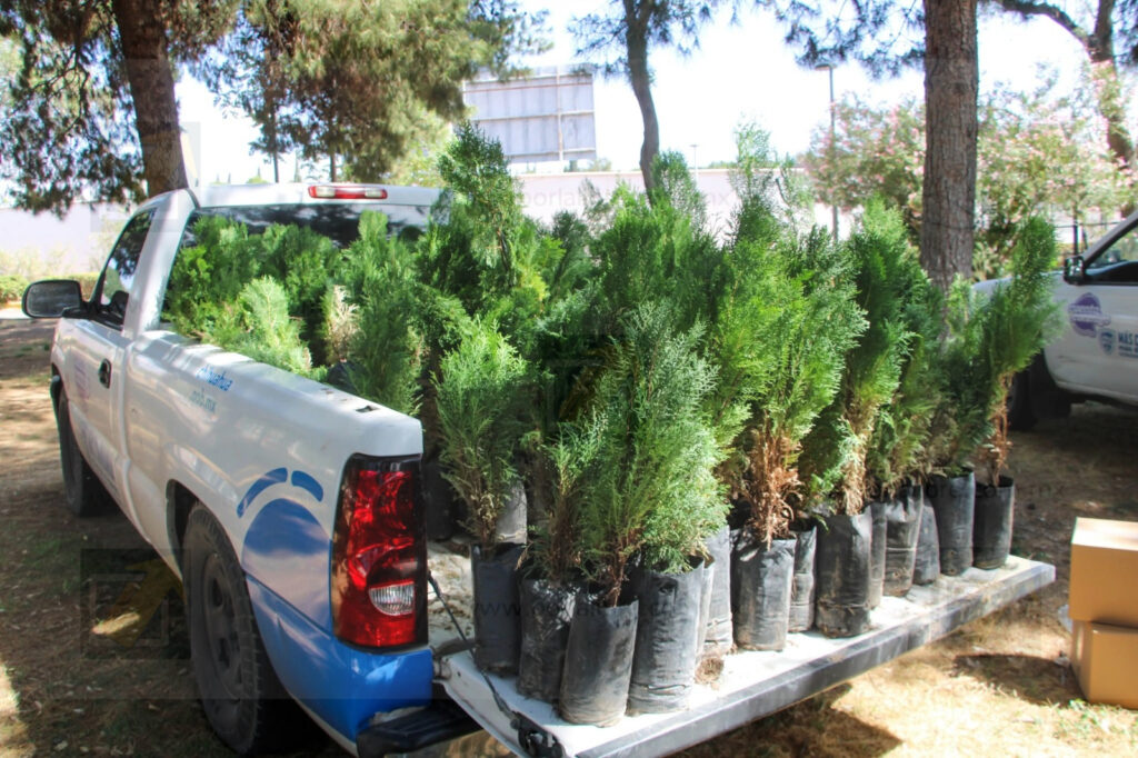 Invita SDR a entrega de árboles y semillas por el Día Nacional del Árbol