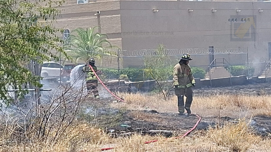 Incendio en terreno baldío obliga a evacuar agencia automotriz del Juventud