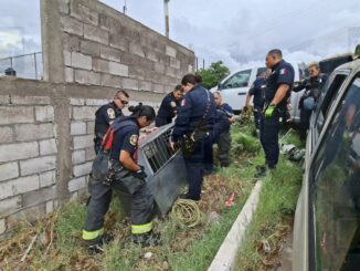 Capturan un pecarí bomberos y policías en la colonia Santa Rosa