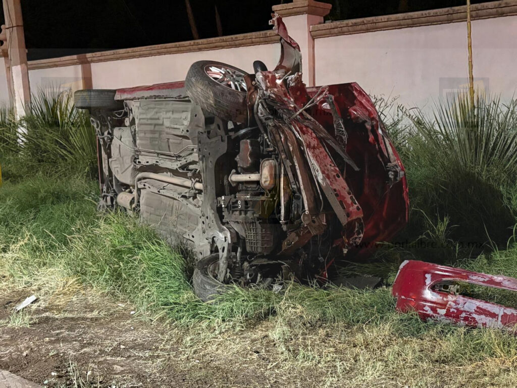 Aparatoso accidente en la avenida Palestina: Conductor choca contra muro, derriba tres palmeras y vuelca