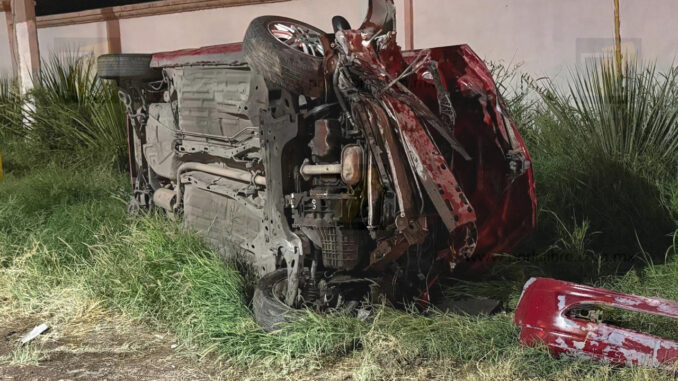 Aparatoso accidente en la avenida Palestina: Conductor choca contra muro, derriba tres palmeras y vuelca