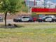 Hombre fallece por infarto en parque de El Saucito