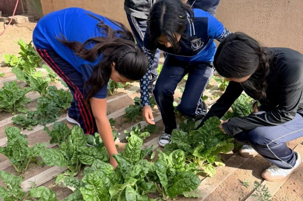 Huertos escolares siembran aprendizaje en comunidades rurales de Chihuahua Capital