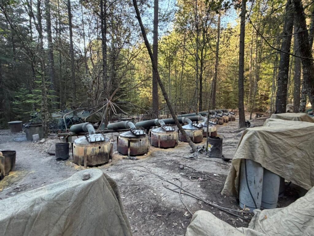 Localizan dos laboratorios de metanfetamina en la sierra, entre Morelos y Guachochi
