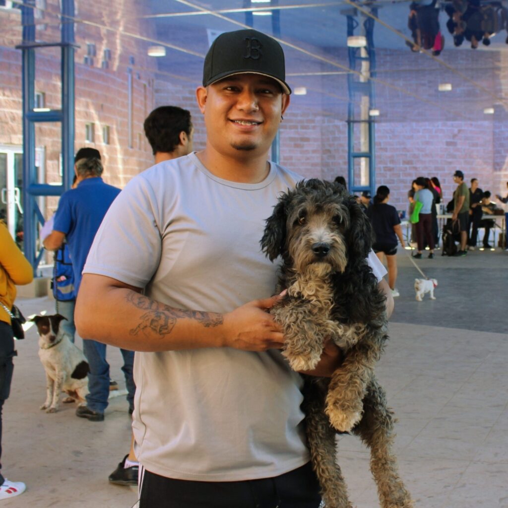 Promueve Municipio adopción de perritos: pueden ser tu compañía y ayuda emocional