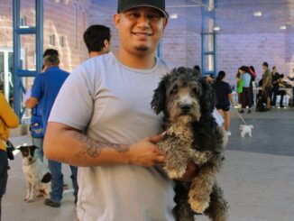 Promueve Municipio adopción de perritos: pueden ser tu compañía y ayuda emocional