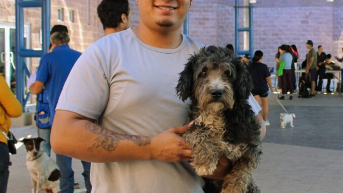 Promueve Municipio adopción de perritos: pueden ser tu compañía y ayuda emocional
