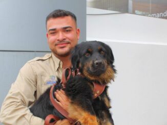 Exhorta Municipio a cuidado de mascotas en Día Nacional del Animal de Compañía