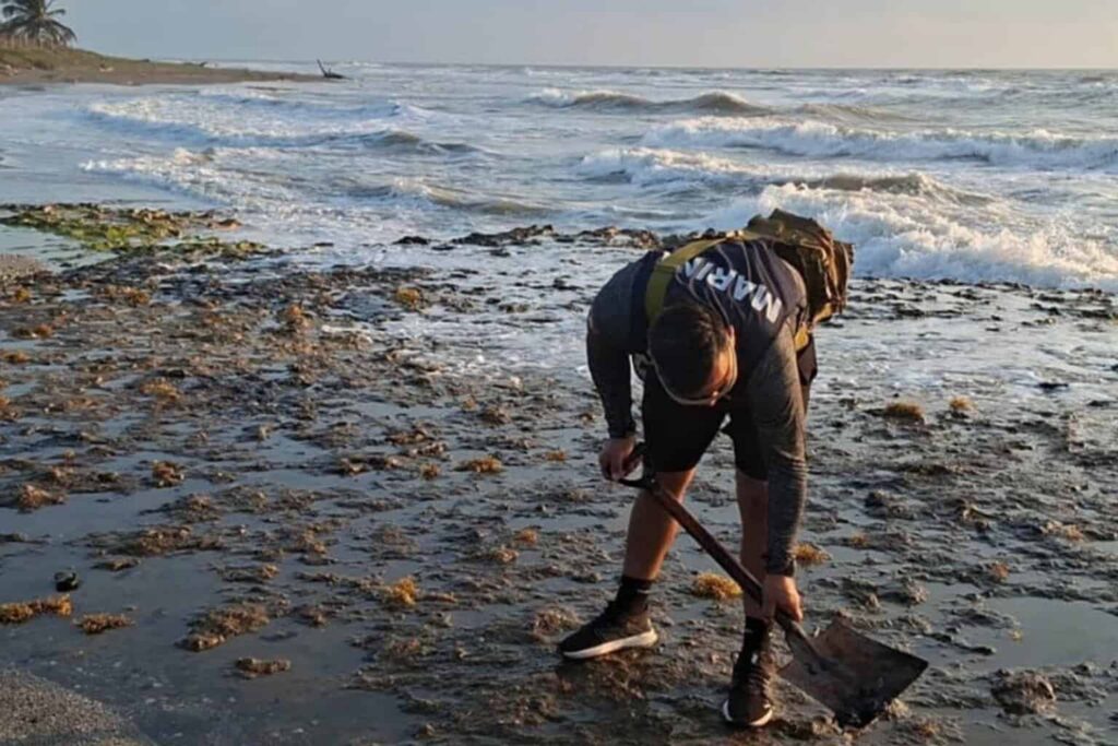 Sheinbaum anuncia creación de Observatorio del Golfo tras derrame de hidrocarburo