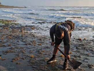 Sheinbaum anuncia creación de Observatorio del Golfo tras derrame de hidrocarburo