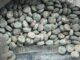 Dan prisión preventiva a mujer detenida con más de cinco mil pastillas de fentanilo en Sinaloa