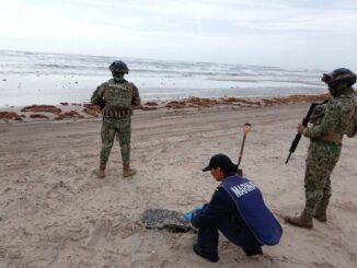 Recolectan más de 890 toneladas de hidrocarburo en el Golfo de México