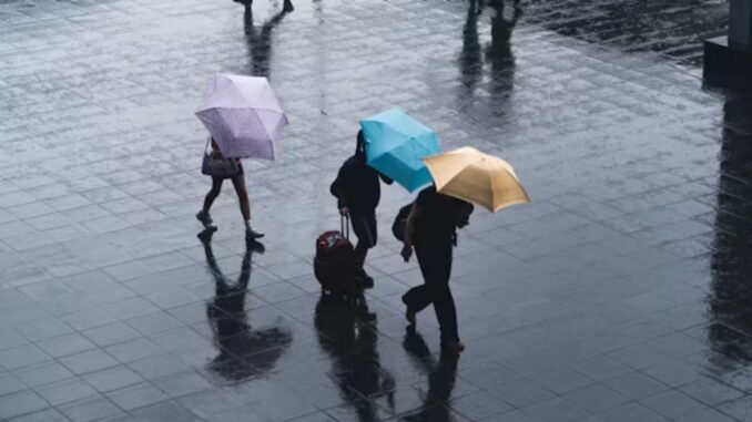 Clima de hoy 25 de julio: prevén lluvias fuertes en gran parte de México para este sábado