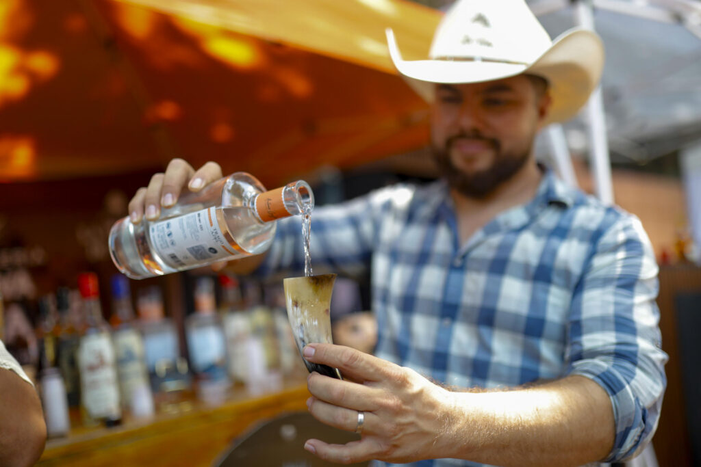 Caída de precios de agave deja campos abandonados y plagas, dicen tequileros