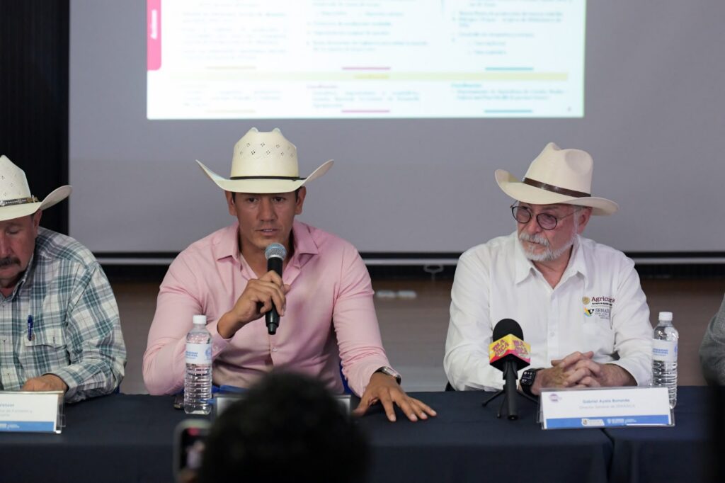 Inicia en Chihuahua la dispersión de mosca estéril para reforzar el blindaje sanitario contra el Gusano Barrenador del Ganado