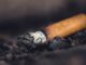 Decomisan más de ocho millones de cigarrillos falsos en Colima