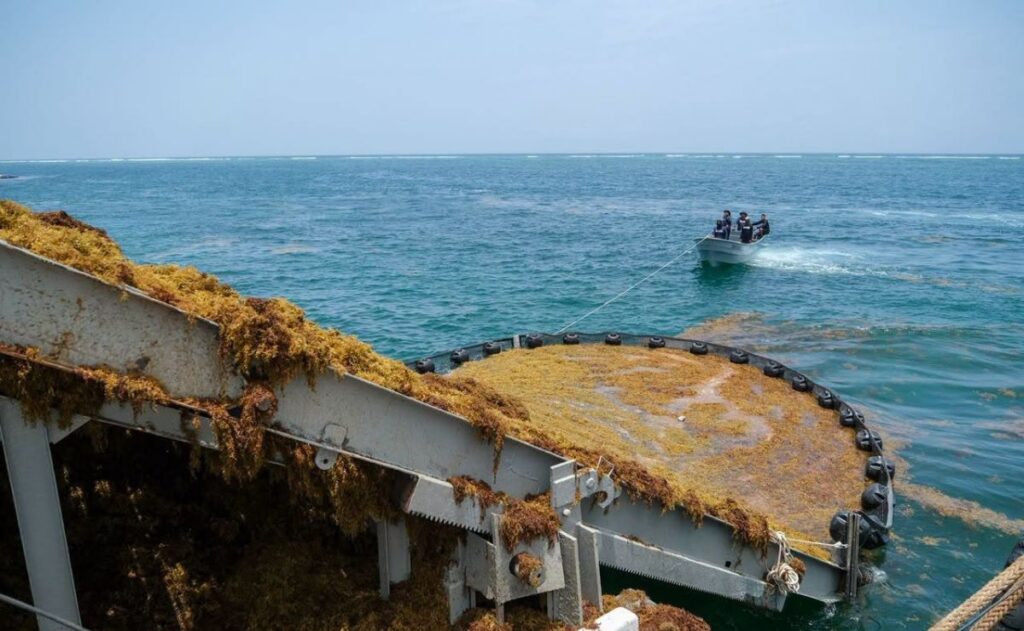 Reto para Quintana Roo es recolectar el sargazo en el mar: Mara Lezama