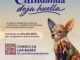 Lanza Municipio convocatoria «Chihuahua Deja Huella» para convertir el arte local en identidad