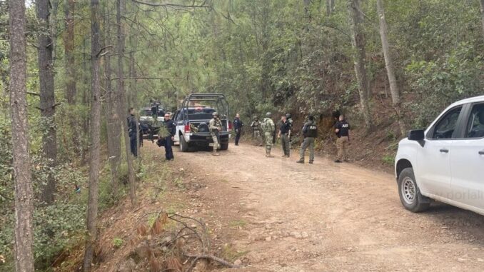Hallan tres cuerpos en comunidad de Guadalupe y Calvo; son jóvenes