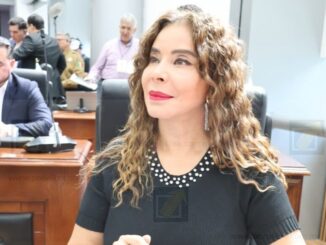A través de la Comisión de Asuntos Fronterizos impulsaremos una mesa interinstitucional sobre contaminación: María Antonieta