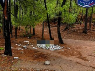 Localizan otros cuatro ejecutados en brecha de Guadalupe y Calvo