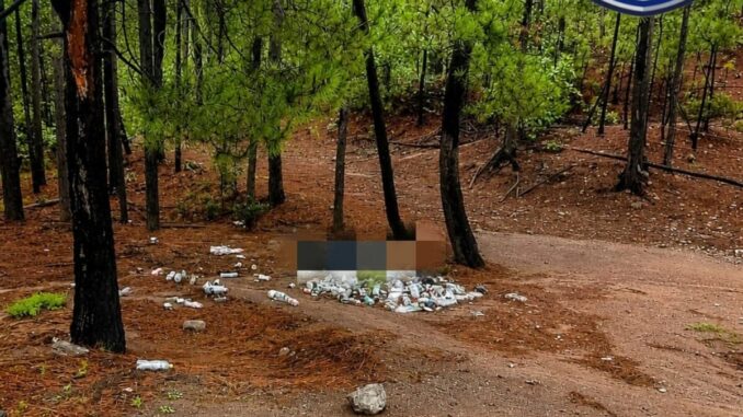 Localizan otros cuatro ejecutados en brecha de Guadalupe y Calvo