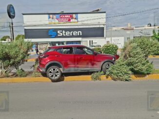 Conductora realiza vuelta en «U» y derriba varios árboles del camellón central del Ortiz Mena