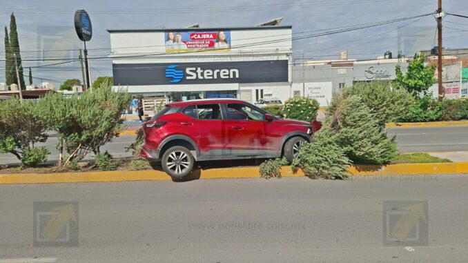 Conductora realiza vuelta en «U» y derriba varios árboles del camellón central del Ortiz Mena