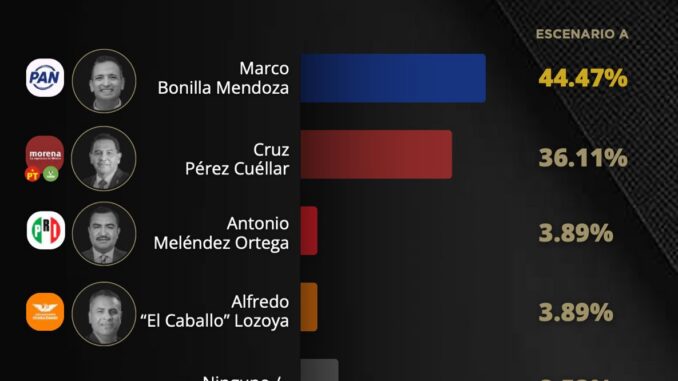 Marco Bonilla lidera preferencias electorales de acuerdo a encuestas