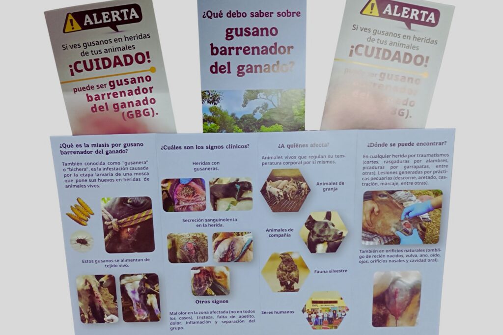Refuerza Municipio acciones preventivas ante el gusano barrenador con capacitación de SENASICA