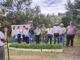 Chihuahua participa en Jornada Nacional de Reforestación con 9 mil 600 pinos en Bocoyna