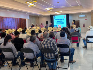 Capacita Secretaría de Desarrollo Rural contra el GBG a más de mil productores