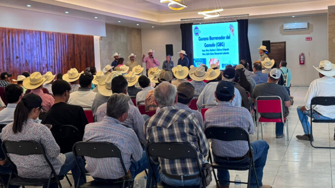 Capacita Secretaría de Desarrollo Rural contra el GBG a más de mil productores