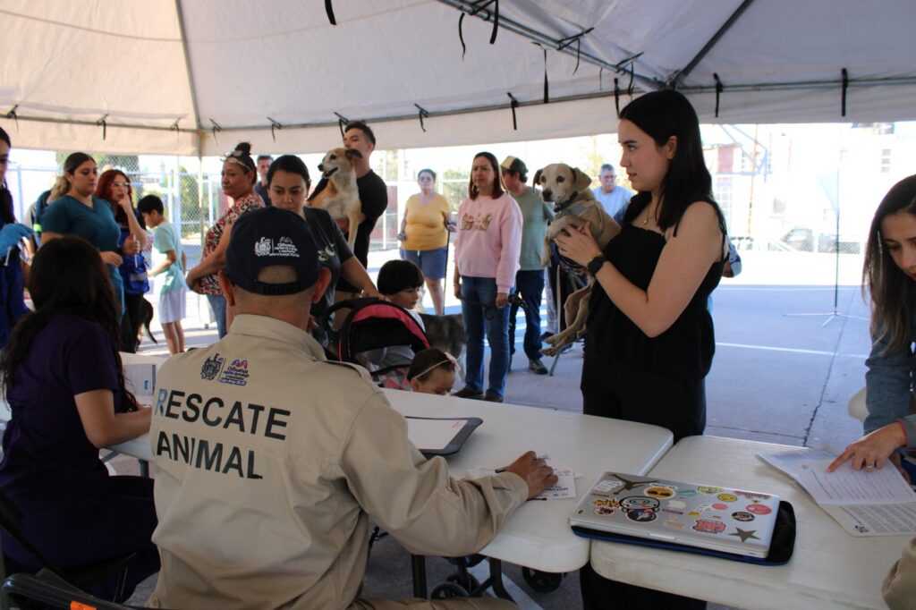 Invita Gobierno Municipal a jornada gratuita de vacunación para mascotas en Parque Fundadores