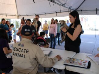 Invita Gobierno Municipal a jornada gratuita de vacunación para mascotas en Parque Fundadores