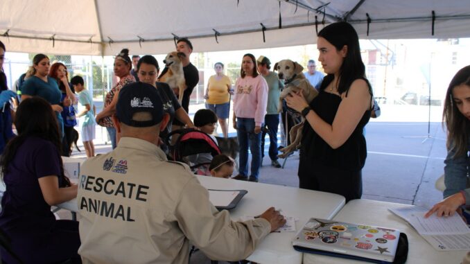 Invita Gobierno Municipal a jornada gratuita de vacunación para mascotas en Parque Fundadores
