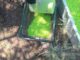 Aclara Secretaría de Desarrollo Rural que mosca estéril liberada contra el GBG no es identificable a simple vista