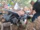 Ubican y destruyen campamentos de la delincuencia organizada en Belisario Domínguez