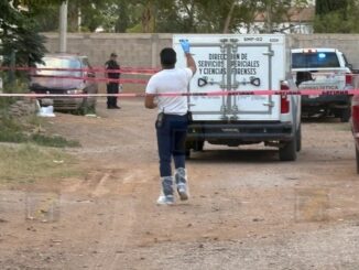 Hallan a hombre sin vida entre arbustos en la colonia Aeropuerto