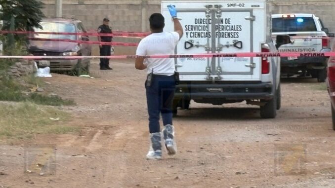 Hallan a hombre sin vida entre arbustos en la colonia Aeropuerto