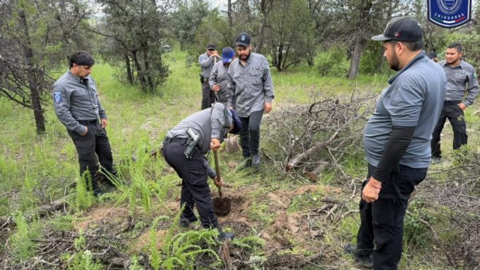 Continúan operativos de búsqueda de desaparecidos en zona de ‘El Willi’ en Casas Grandes