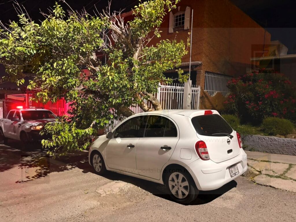 Árbol de gran tamaño cae sobre vehículo estacionado y provoca daños materiales