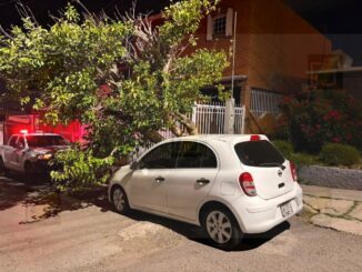 Árbol de gran tamaño cae sobre vehículo estacionado y provoca daños materiales