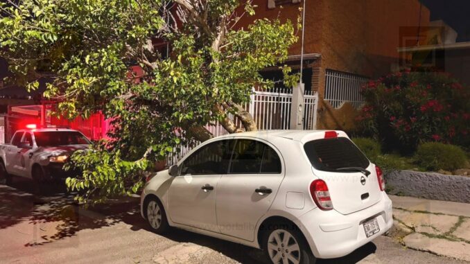 Árbol de gran tamaño cae sobre vehículo estacionado y provoca daños materiales