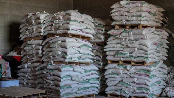 Publica SDR convocatoria para apoyo de concentrado lechero a productores