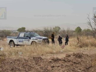 Hallan un ejecutado en tapia por el río Sacramento 