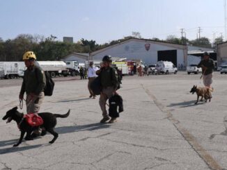 Refuerzan búsqueda de niña de 9 años en Chiapas con binomios caninos