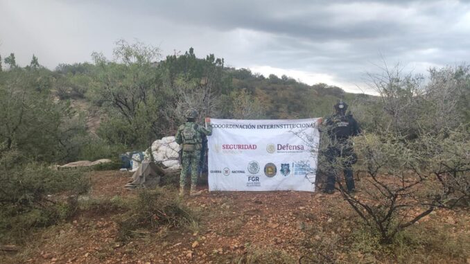Célula BOI asegura precursores químicos para fabricación de drogas sintéticas en serranía de Parral