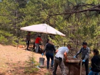 En rastreo, localizan osamenta en brecha Bahuichivo-El Churo, municipio de Urique